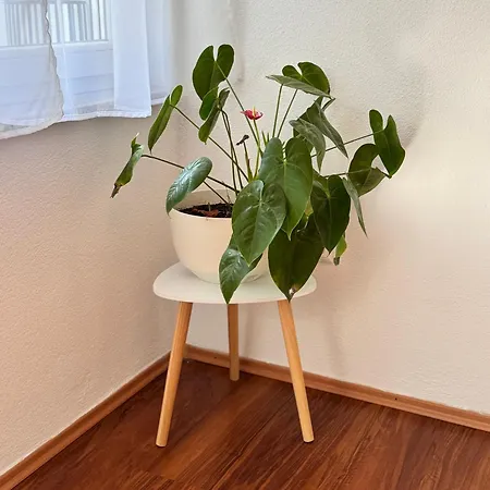 Apartment Lena